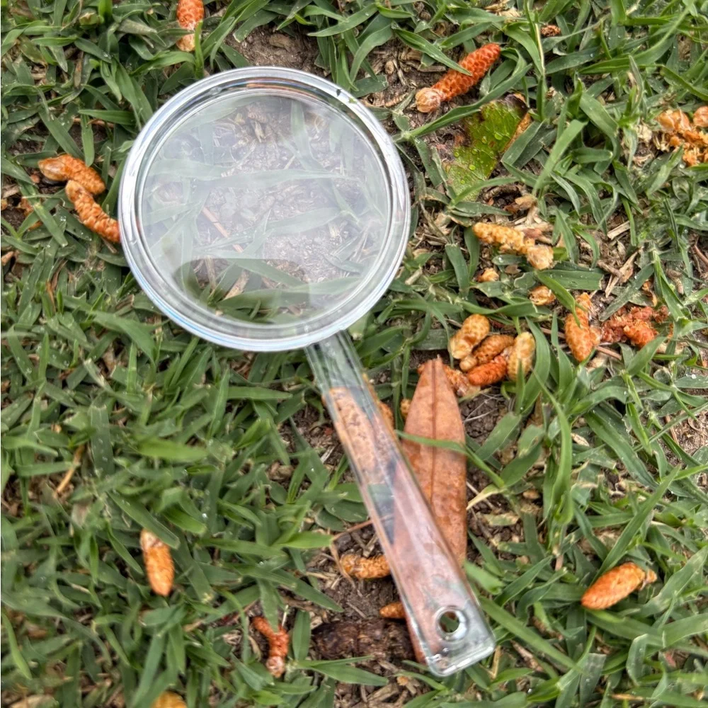 Strawberry and Ladybug Sensory Bin Filler